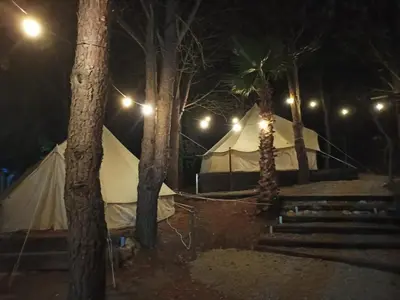 a tent in the woods at night with lights at Bungalows y Glamping Medina Sidonia in Medina Sidonia