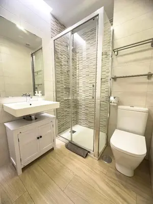 a bathroom with a toilet and a sink and a shower at Alameda apodaca in Cádiz