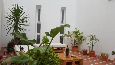 a room filled with lots of plants and a table at Apartamentos Coralba - Dúplex Bahía de Cádiz in San Fernando