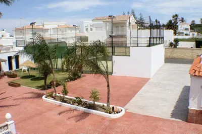 a group of palm trees in a courtyard at Apartamentos La Palmera in Conil de la Frontera
