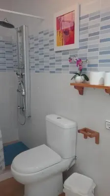 a bathroom with a toilet and a shower at Apartamentos El Patio Andaluz in Jerez de la Frontera