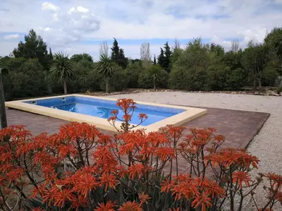 a swimming pool in a garden with orange flowers at Alojamiento Rural - Finca Santa Margarita in Algar
