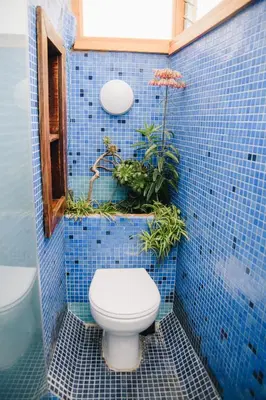 a blue tiled bathroom with a toilet and plants at Casa Caracol in Cádiz