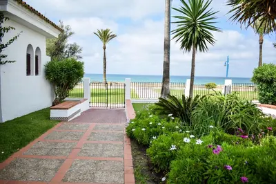 a walkway near the beach with palm trees and the ocean at Apartamento Barrosaplaya1 in Chiclana de la Frontera