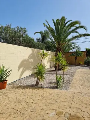 a fence with two palm trees next to a wall at Traumhaus für 6 Personen mit spektakulärem privaten Pool und schönem Ausblick in die Natur in Hozanejos