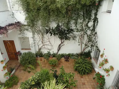 a garden with plants and trees on a wall at Hotel El Coloso in Jerez de la Frontera
