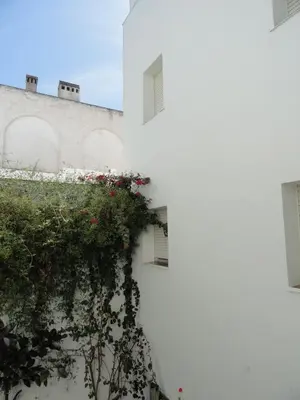 a white building with flowers on the side of it at Hotel El Coloso in Jerez de la Frontera