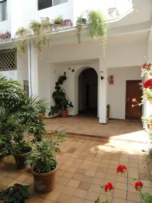 a courtyard of a house with potted plants at Hotel El Coloso in Jerez de la Frontera