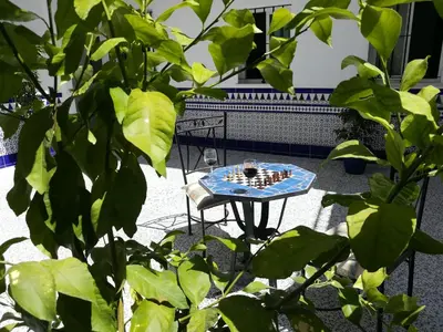 a table and a chair in a room with plants at Casa Valientes A - Parking privado gratis & patio interior in Jerez de la Frontera