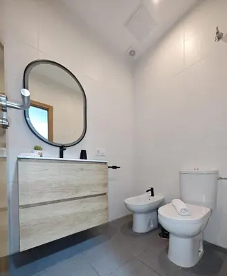 a bathroom with a toilet and a mirror at Apartamento del Mercado Little Apartments in Cádiz