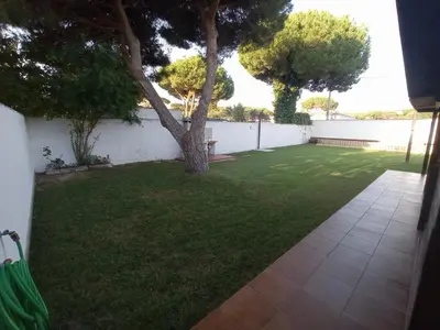a backyard with a tree and a fence at El Vivero in Chiclana de la Frontera