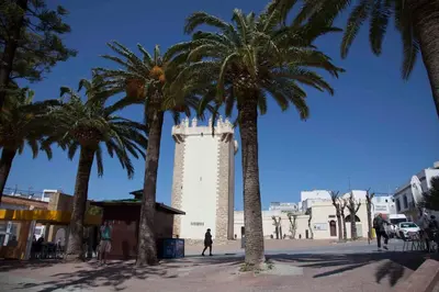 a group of palm trees in front of a tower at Hostal del Faro in Conil de la Frontera