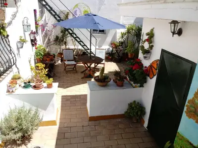 a patio with potted plants and an umbrella at Pensión España in Cádiz