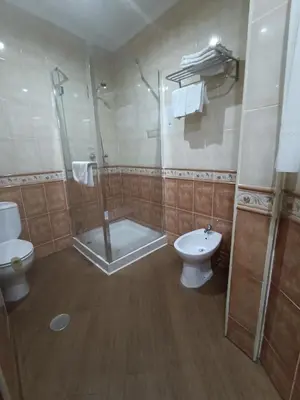 a bathroom with a shower and a toilet and a sink at Hostal San Francisco in Cádiz