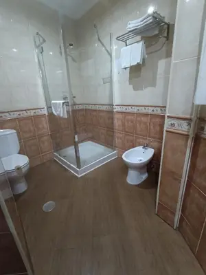 a bathroom with a shower and a toilet at Hostal San Francisco in Cádiz