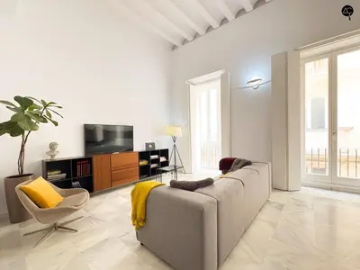 a living room with a couch and a tv at Casa Columela Cádiz Grupo AC Gestión in Cádiz
