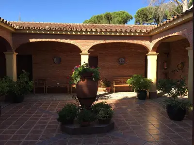a courtyard with a large vase with plants in it at Hospedería Santiago in Chiclana de la Frontera