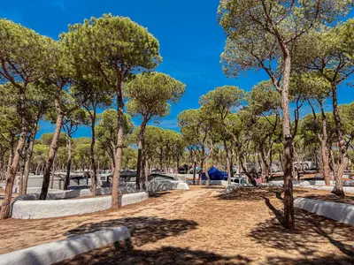 a park with benches and trees on a sunny day at TAIGA Puerto Santa María in El Puerto de Santa María