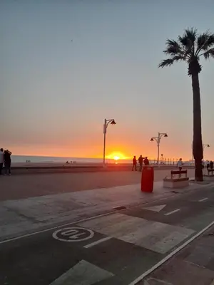a sunset on a beach with a palm tree at Estudio Carmen in Cádiz