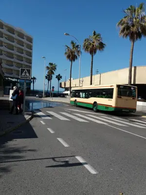 a bus driving down a street with palm trees at Estudio Carmen in Cádiz