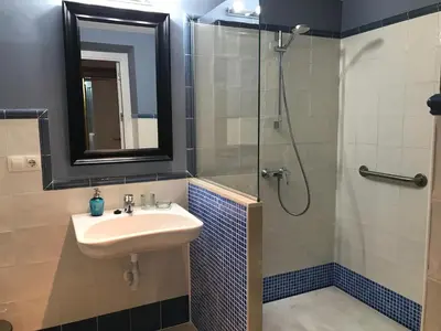 a bathroom with a sink and a shower at Palacio Torneria in Jerez de la Frontera