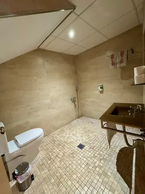 a bathroom with a toilet and a sink at Alcazar Suites in Jerez de la Frontera