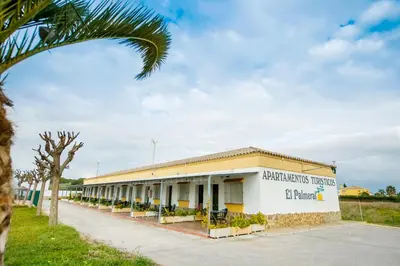 a building with a palm tree in front of it at Apartamentos El Palmeral in Conil de la Frontera
