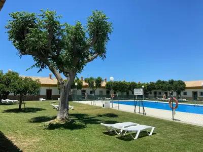 a tree in the grass next to a swimming pool at Apartamentos Los Mellizos in Conil de la Frontera