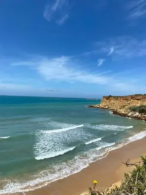 a view of the ocean with a yellow flower on the beach at Apartamentos Los Mellizos in Conil de la Frontera