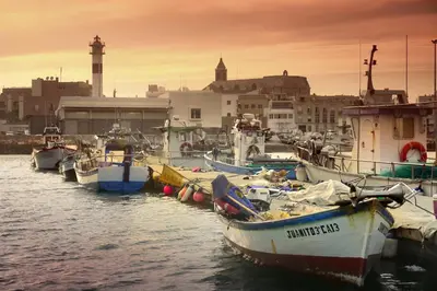 a group of boats are docked in a harbor at Hostal Playa Candor in Rota