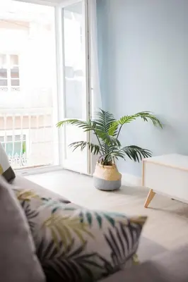 a living room with a potted plant in front of a window at Nueva ALMUDENA Apartment by Cadiz4Rentals in Cádiz