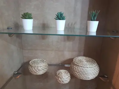a shelf with three pots with plants on it at Sherryflat Moneo - Parking in Jerez de la Frontera