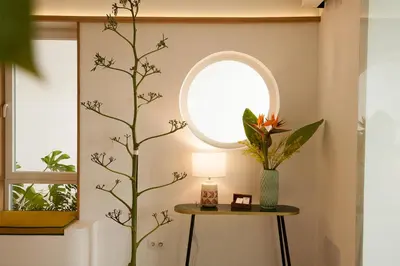 a room with a table with a vase and a window at Hostal Las Cumbres in Conil de la Frontera