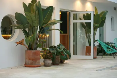 a group of potted plants sitting on the side of a house at Hostal Las Cumbres in Conil de la Frontera