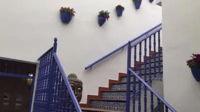 a set of stairs with potted plants on the wall at Hostal El Puerto Boutique in Chipiona