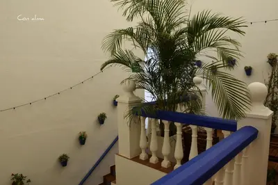 a staircase with a blue and white rail and a plant at Hostal El Puerto Boutique in Chipiona