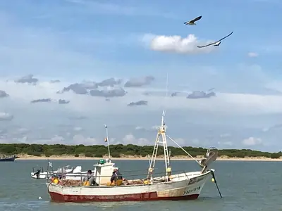 a boat in the water with a bird flying above it at Preciosa casa baja con aire acondicionado in Sanlúcar de Barrameda