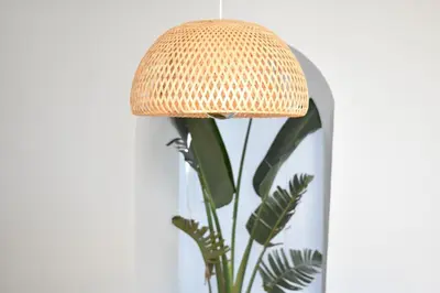 a rattan lamp with a plant next to a wall at Veedor 12 in Cádiz