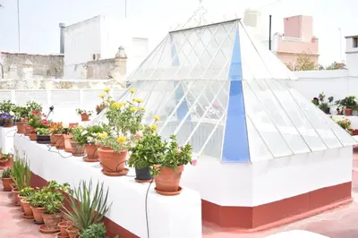a greenhouse filled with potted plants on a rooftop at Veedor 12 in Cádiz