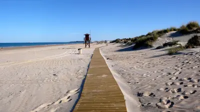 a wooden pathway leading to the beach at Oasis en la playa in Chiclana de la Frontera