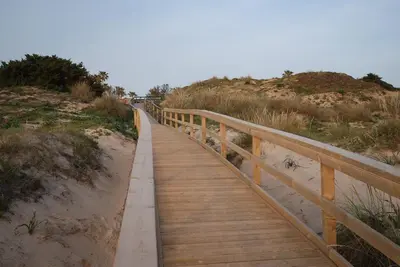a wooden boardwalk over the sand on a beach at Oasis en la playa in Chiclana de la Frontera