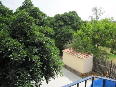 a view from the balcony of a garden with trees at Hotel Caballo Negro in Puerto Real