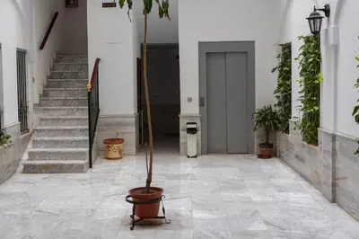a plant in a pot in a hallway with stairs at La Terraza del Drago in Cádiz