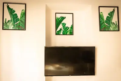 a flat screen tv on a wall with three framed plants at CDZ - Poniente in Cádiz