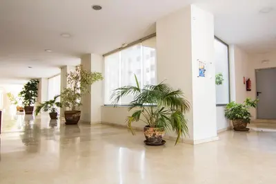 a hallway with potted plants in a building at Apartamento Racimo El Puerto de Santa Maria in El Puerto de Santa María