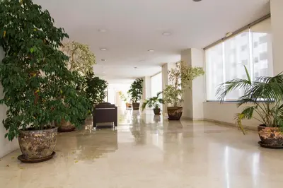 a hallway filled with potted plants in a building at Apartamento Racimo El Puerto de Santa Maria in El Puerto de Santa María