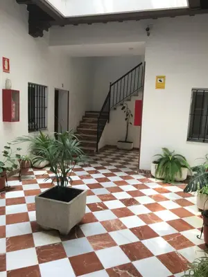 a room with a checkered floor with potted plants at Rincón en el Mentidero in Cádiz