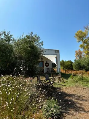 a house with a bench in a field of flowers at bungalow entre mer et montagne in Arcos de la Frontera