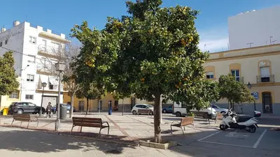 an orange tree on a street with benches and a scooter at Apartamento Patri in Jerez de la Frontera
