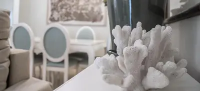 a white plant sitting on top of a table at Apartamento Sueño de la Caleta in Cádiz
